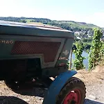 公寓 Weingut Harald Konrad Fehres 布劳讷贝格