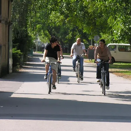 Weingut Harald Konrad Fehres 公寓 *