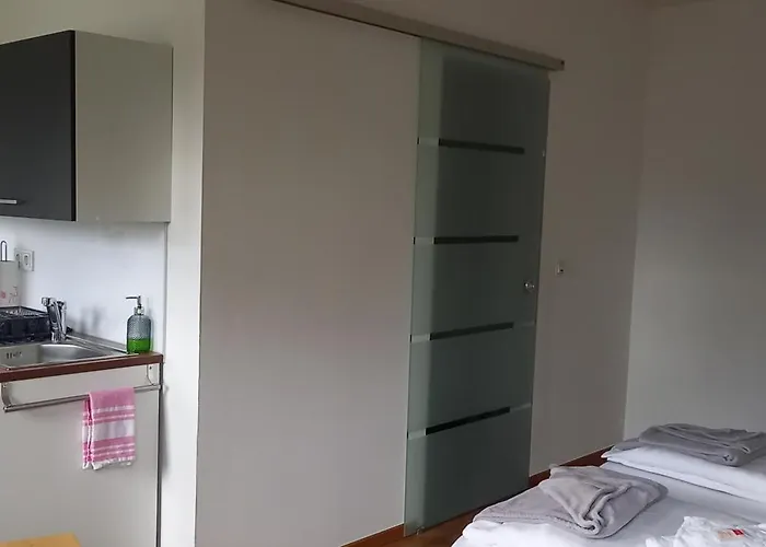 公寓 Weingut Harald Konrad Fehres 布劳讷贝格