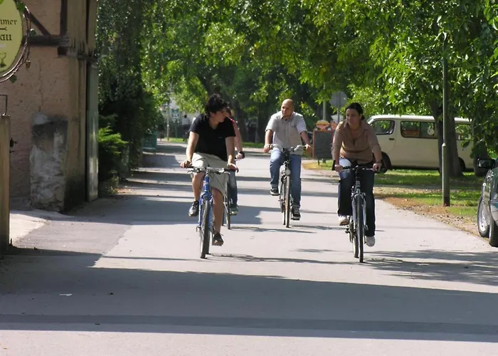 Weingut Harald Konrad Fehres 公寓 *