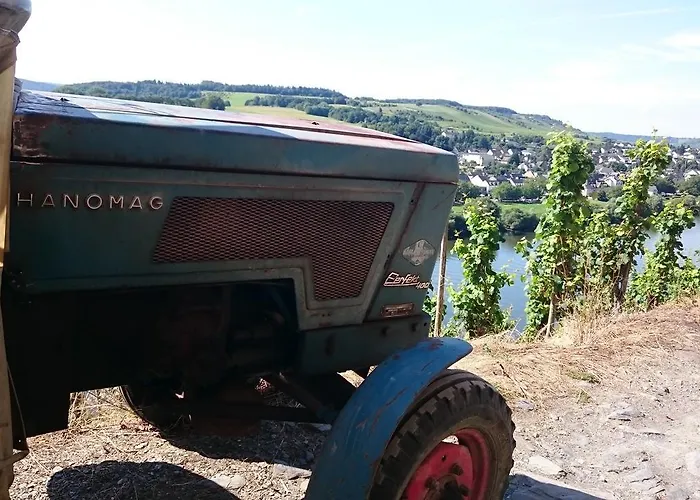 Apartament Weingut Fehres Brauneberg