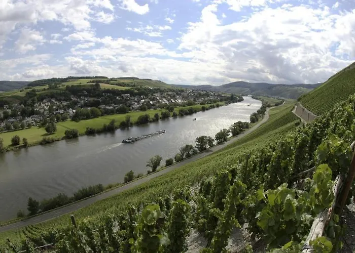 Weingut Harald Konrad Fehres 公寓 *